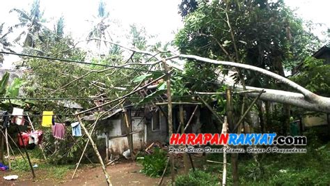 Akibat Angin Kencang Rumah Warga Pangandaran Rusak Tertimpa Pohon