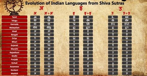 What Is Shiv Sutra नृत् वस नतनराजा जो ननाद कार्यं नवपंचवारम उद्धतुर्कामः सनकादिसिद्ध ऐनतद समेमे