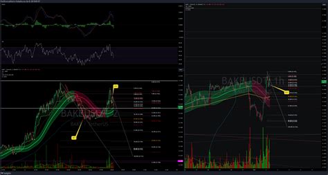 Binance Bakeusdt Chart Image By Puristforest Tradingview