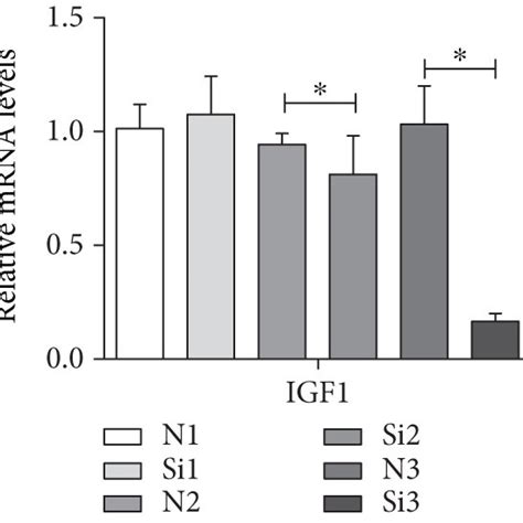 The Effects Of Igf Knockdown On The Mrna Levels A And Protein Levels