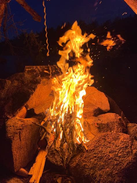 Nighttime Campfire in the Forest