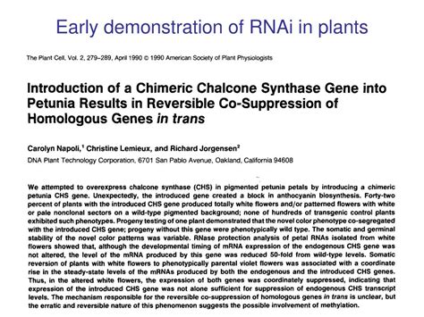 PPT - RNA Silencing RNAi PowerPoint Presentation, free download - ID:217919 