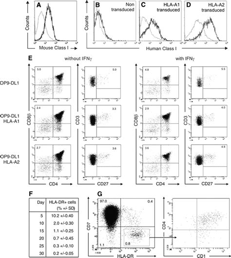 Mhc Expression In Op9 Dl1 Cultures Op9 Dl1 Cells Transduced With Human