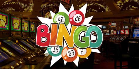 20 Facts About Bingo Facts Net