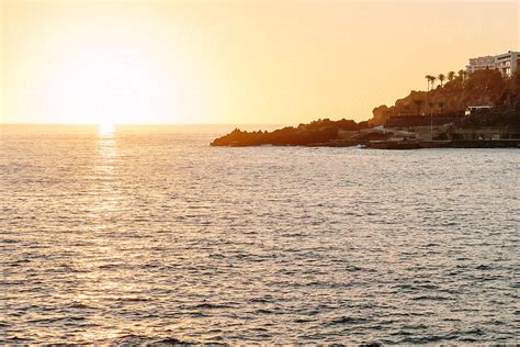 Sunset And Palm Trees In Madeira By Stocksy Contributor Simon