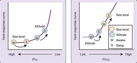 Respiratory Physiology Sleep At High Altitudes Neupsy Key