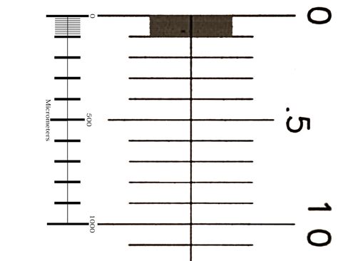 stage micrometer size  harry quintana blog
