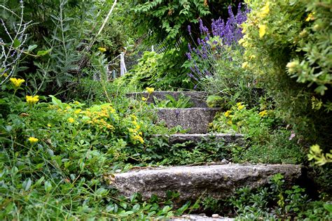 The Wabi Sabi Garden Seattle S Favorite Garden Store Since 1924