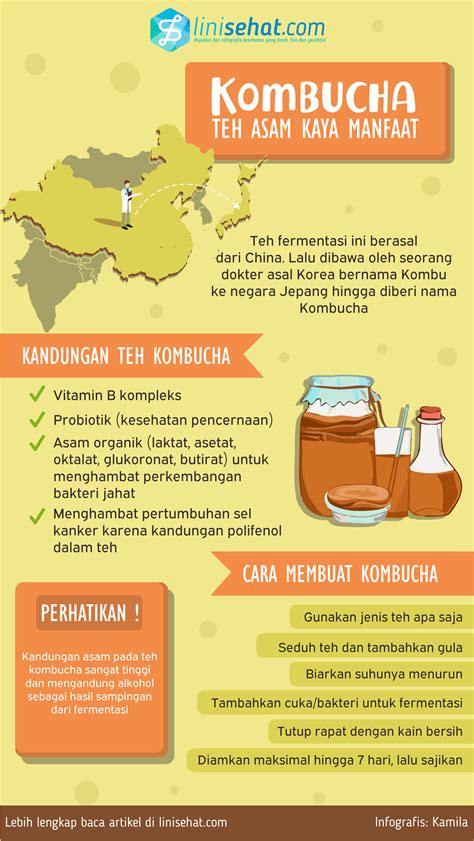 Kombucha Teh Asam Kaya Manfaat