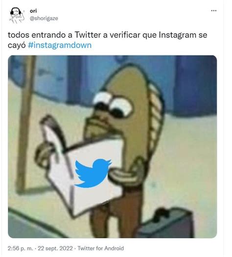 Los Mejores Memes Tras La Caída De Instagram