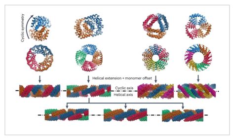 纳米人 Nature Chemistry：由可延伸蛋白质复合物制成的精确图案化纳米纤维