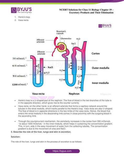 Ncert Solutions Class 11 Biology Chapter 19 Excretory Products And