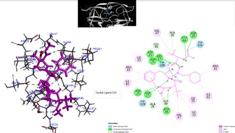 D Crystal Structures Of Hiv Protease And D Diagrams Residues