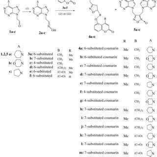 Scheme Reagents And Conditions I Nh Oh Hcl Equiv Ch