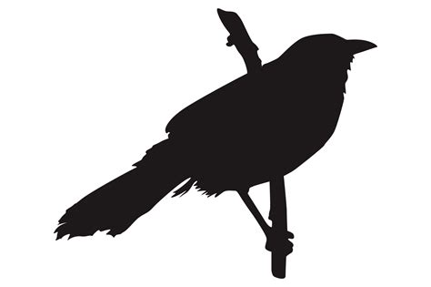 Perched Bird Silhouette On Transparent Background 23629553 PNG