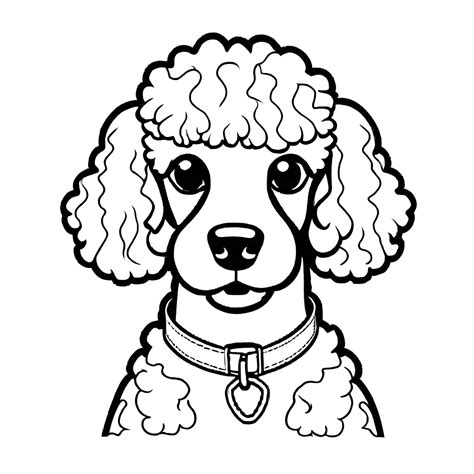 Adorable poodle coloring page Lulu Pages