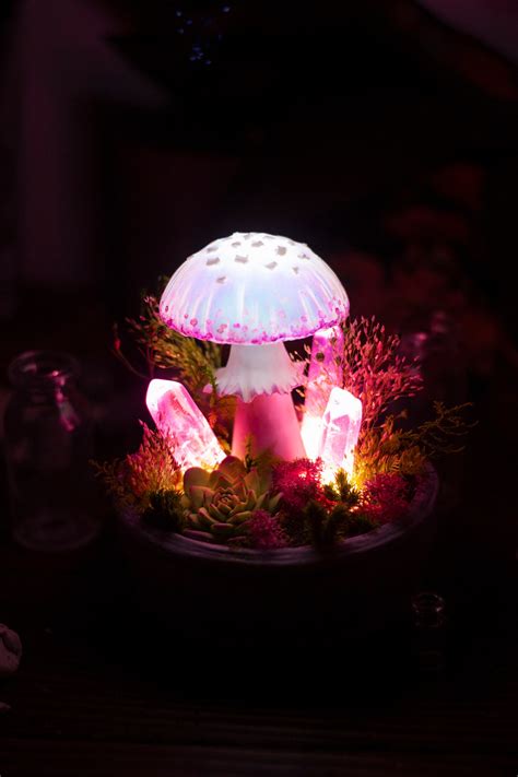 Mushroom Lamp Made To Order Pink Mushroom Lamp With Crystals Etsy Uk