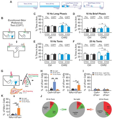 Brain Sciences Free Full Text Locus Coeruleus Optogenetic