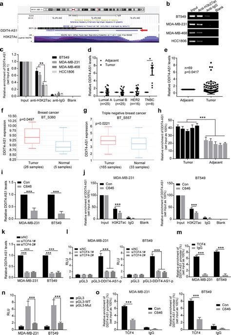 The Lncrna Ddit As Is Activated By H K Ac A The Gene Annotation