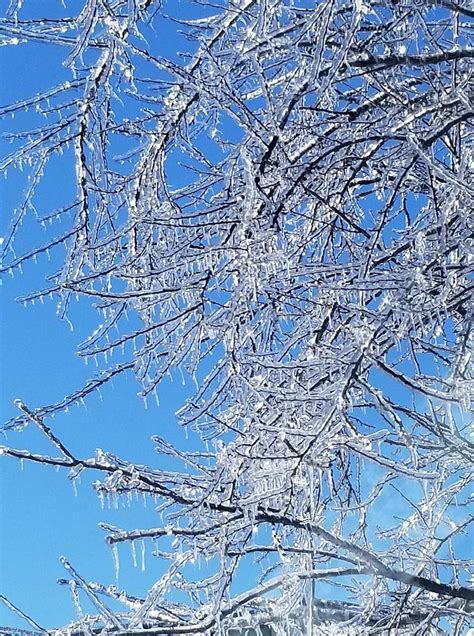 Freezing rain in Canada : r/pics