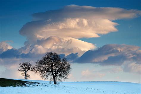 冬のフィールド 木 積雲の雲 空 雲 冬 フィールド 雪 木 HDデスクトップの壁紙 Wallpaperbetter