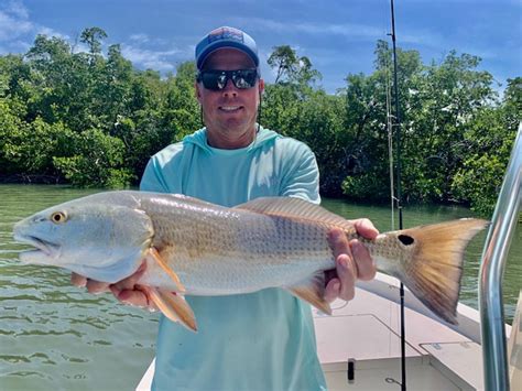 Naples Fishing Charters Latest Report Naples Marco Island Fishing