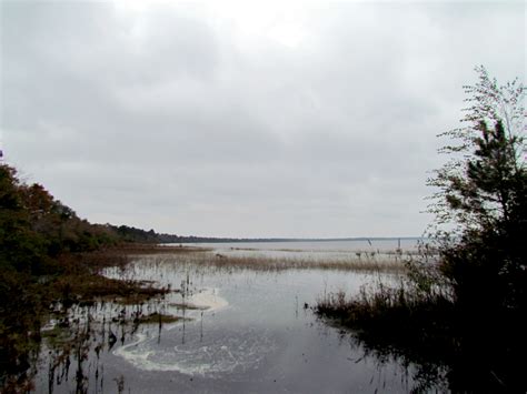 Elevation of Lake Waccamaw, NC, USA - Topographic Map - Altitude Map