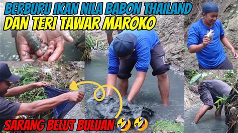 KOCAK MENEMUKAN SARANG BELUT BULUAN BERBURU IKAN NILA BABON THAILAND