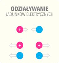 Elektryzowanie ciał Leszek Bober Fizyka z pasja