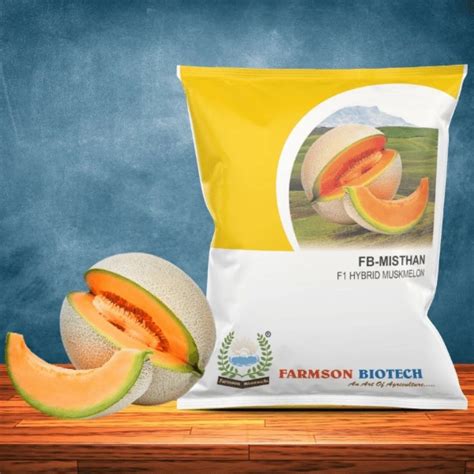 FB MISTHAN F1 HYBRID MUSKMELON SEEDS Packaging Type Packet At 1068