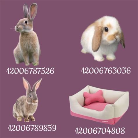 Bloxburg Pets Id Bloxburg Decal Codes House Decals Pic Code