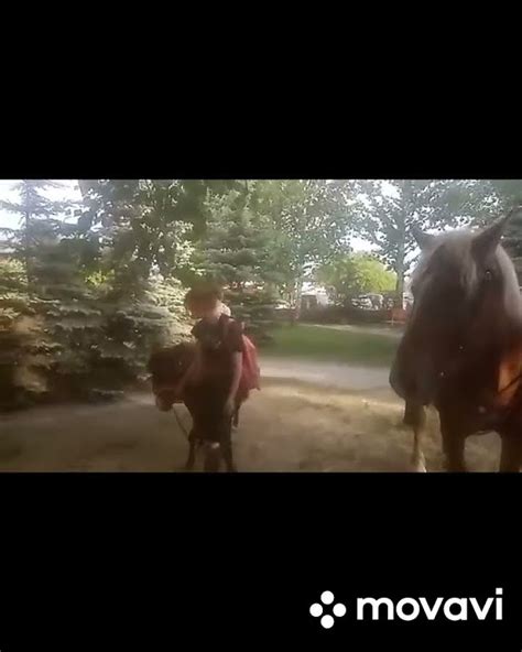 счастья, полные штаны🤣 - YouTube