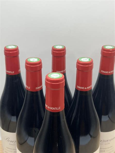 Domaine De Montille Pinot Noir Bourgogne Catawiki