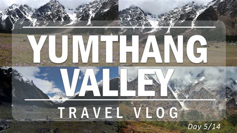 How To Travel Lachung And Yumthang Valley Live Snow Avalanche