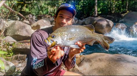 Jungle Fishing Crystal Clear Pools Jungle Perch Youtube