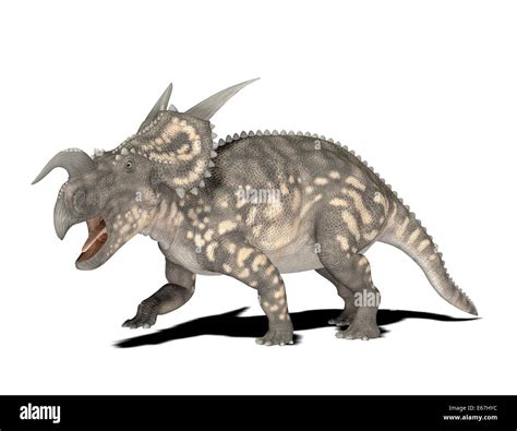 Dinosaurier Einiosaurus Dinosaur Einiosaurus Stock Photo Alamy