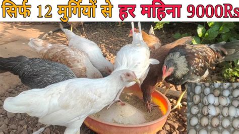 Murgi Se Mahina Rs Money Kaise Kamaye Poultry Farm Business