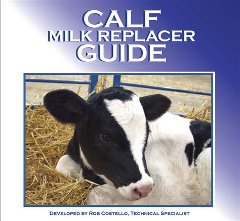 Calf Milk Replacer Guide Calf Sessions