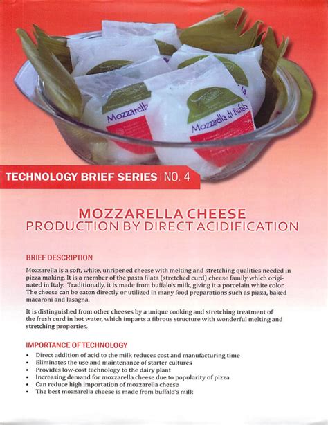 Technology Brief Series No. 4: Mozarella Cheese Production by Direct Acidification – Philippine ...