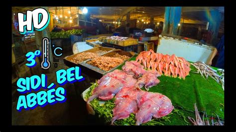 SIDI BEL ABBÉS À Vélo 8 Janvier 2024 Marché Poisson DZ سيدي بلعباس