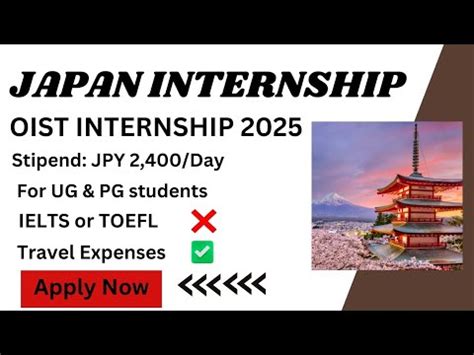 Japan Internship Program Youtube