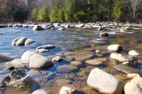 Imagen Gratis Piedras De Río Orilla Costa Del Río Río Rocas