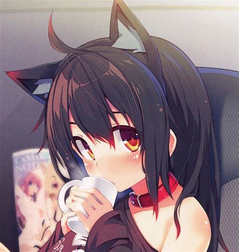 Anime Neko Girl Phone Wallpapers Top Free Anime Neko Girl Phone