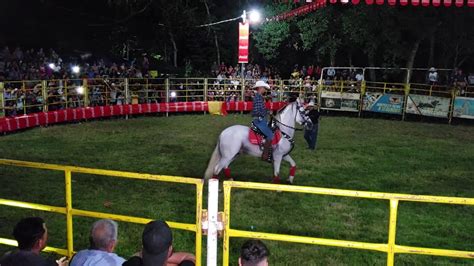 Primer Jaripeo En Las Fiestas Tradicionales De Tejutla 2019 YouTube