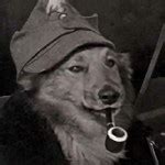 New Axdee S Porn Videos 2025 Pornhub