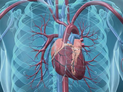 Recognizing Aneurysm Symptoms in Monterey County