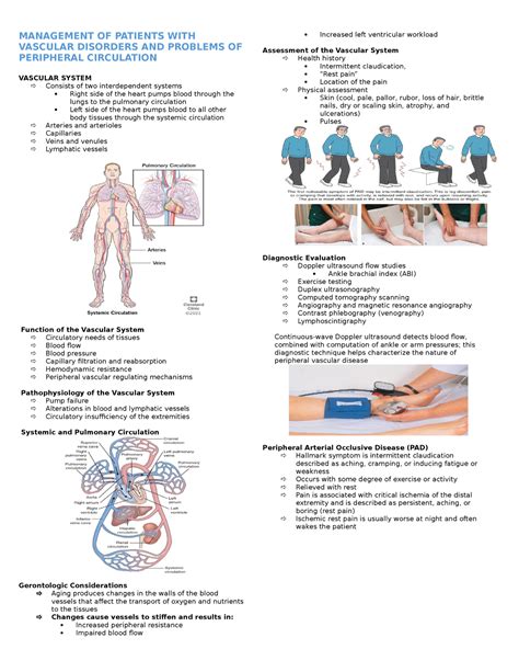 Management Of Patients With Vascular Disorders And Problems Of