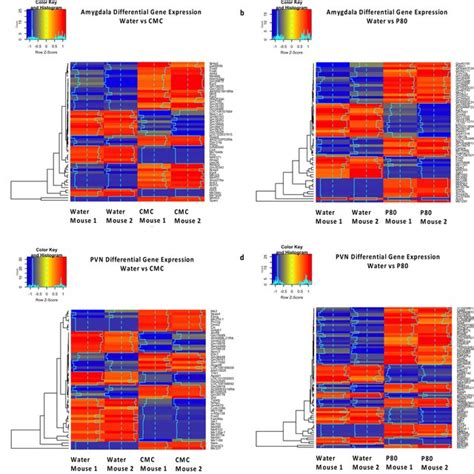 Heatmaps Show Z Score Normalized Relative Expression Of Differentially