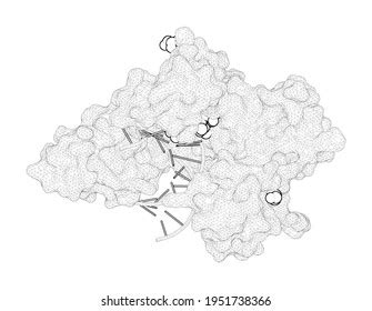 D Rendering Line Drawing Biological Molecule Stock Illustration