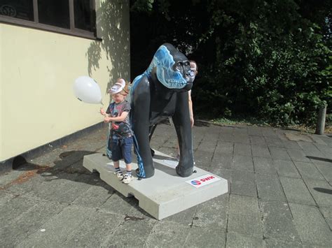 Gorillas In The Midst Of Exeters City Centre The Exeter Daily